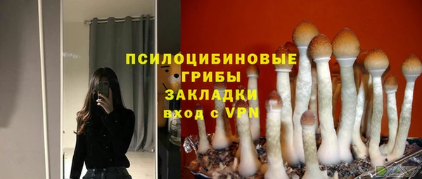 винт Гусь-Хрустальный
