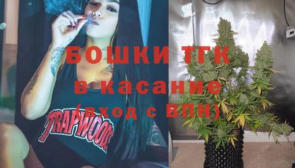 винт Гусь-Хрустальный