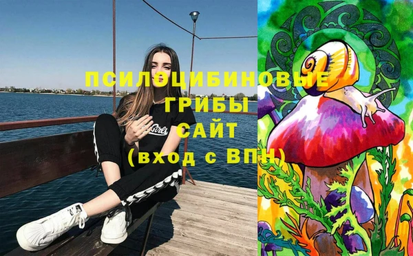 ALPHA-PVP Гусиноозёрск