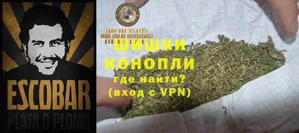 скорость Гусев