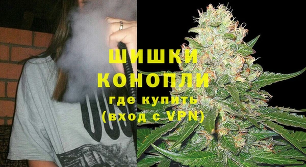 винт Гусь-Хрустальный