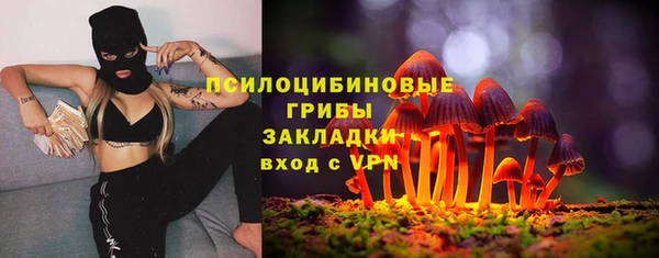 винт Гусь-Хрустальный