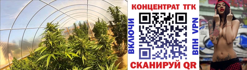 Дистиллят ТГК гашишное масло  Новосокольники 