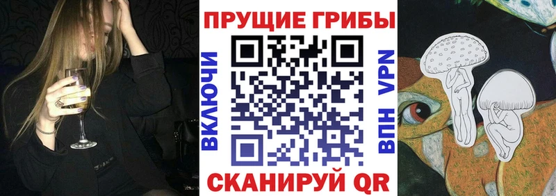 ссылка на мегу онион  Новосокольники  Псилоцибиновые грибы мицелий 